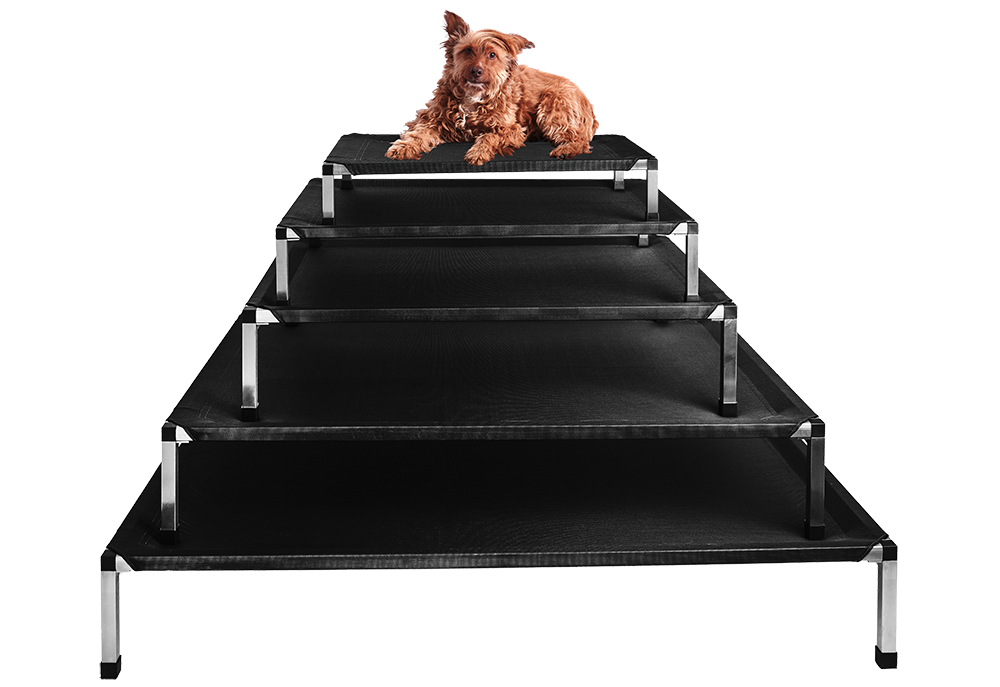 Lehatka na sobe s pejskem web pgn